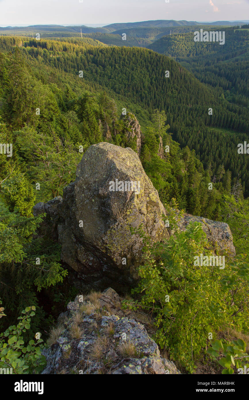 Hahnenklee balze al Parco Nazionale di Harz, Bassa Sassonia, Germania Foto Stock