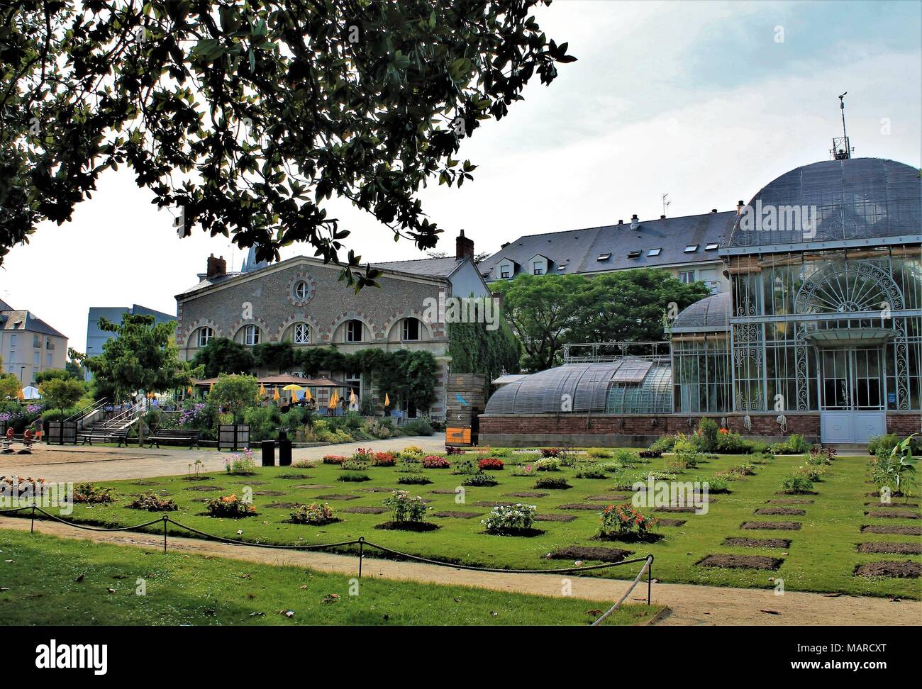Jardin des Plantes (giardino botanico) di Nantes, Loire Atlantique, regione Pays de la Loire, Francia Foto Stock