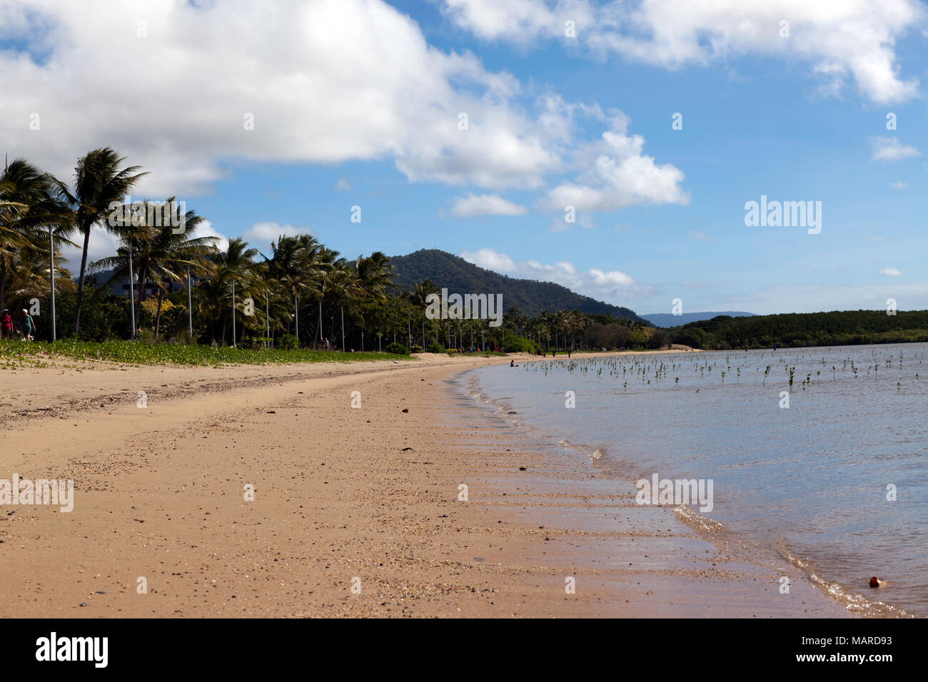 Ampio angolo di vista della spiaggia a nord di Cairns, estremo Nord Queensland, Australia Foto Stock
