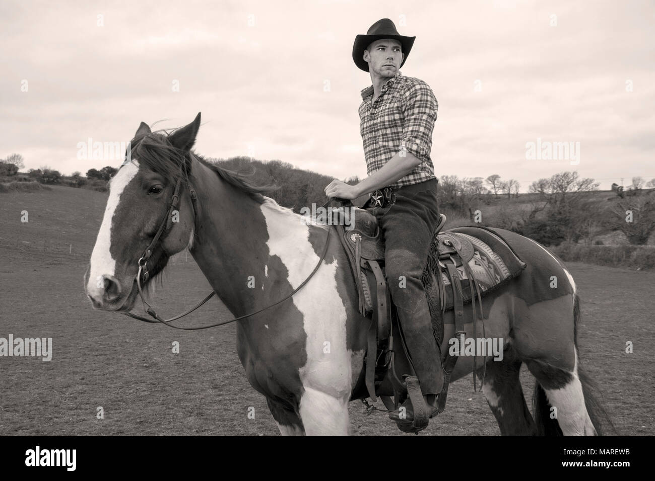 Bel uomo, maschio cowboy seduti in sella al cavallo con collina e alberi in background Foto Stock