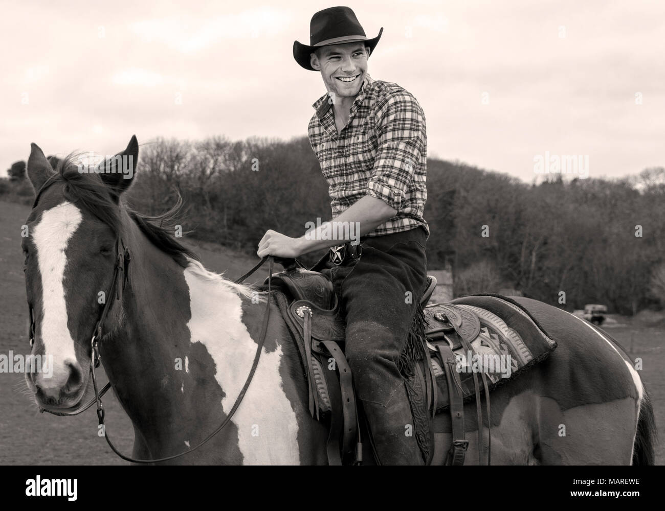 Bel uomo, maschio cowboy seduti in sella al cavallo con collina e alberi in background Foto Stock