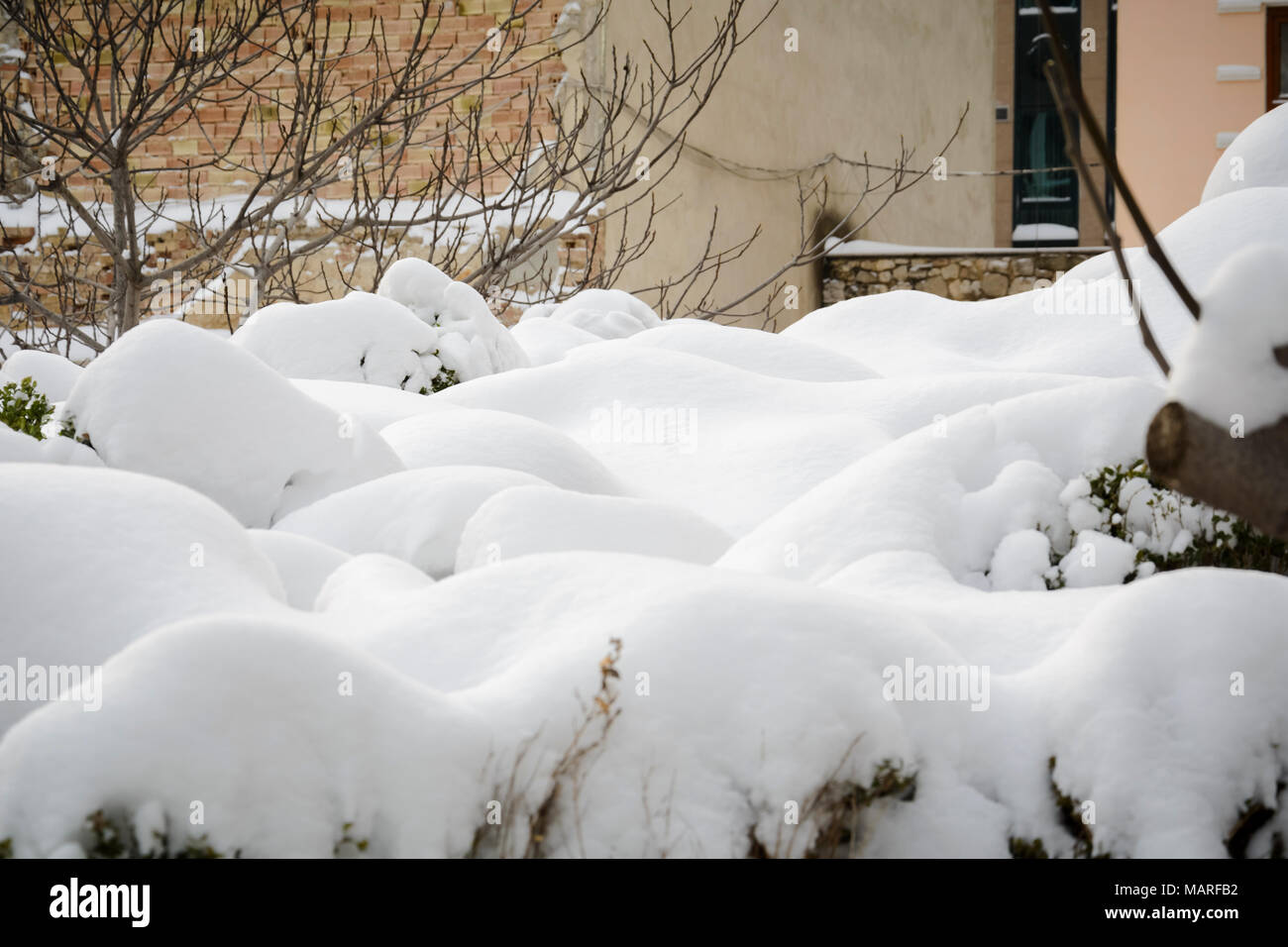 Forma di Cloud pila di neve su albero di legno di bosso. Foto Stock