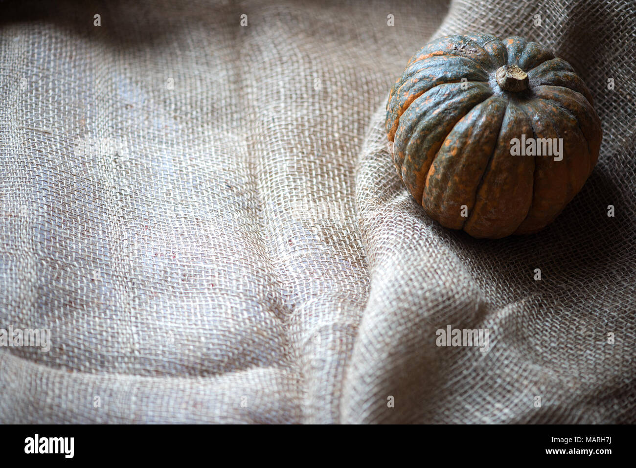 Zucca di caduta vacanze ,closeup di marrone a superficie testurizzata,tela sfondo texture Foto Stock