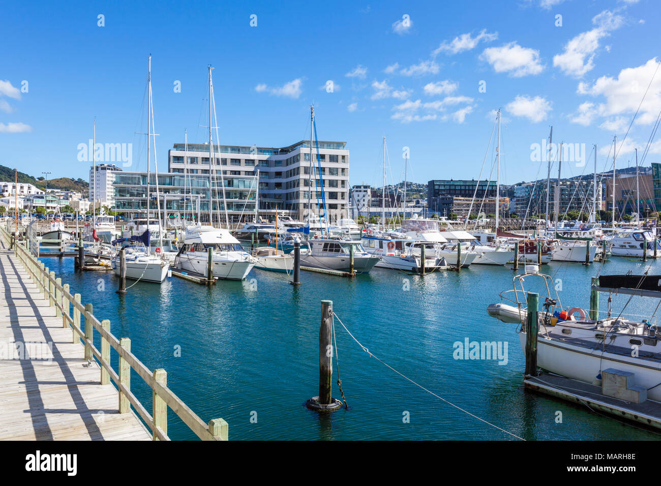 WELLINGTON NUOVA ZELANDA marina yacht ormeggiati nei crivelli superiori marina Clyde Quay wharf sul lungomare di Wellington Wellington Nuova Zelanda Foto Stock