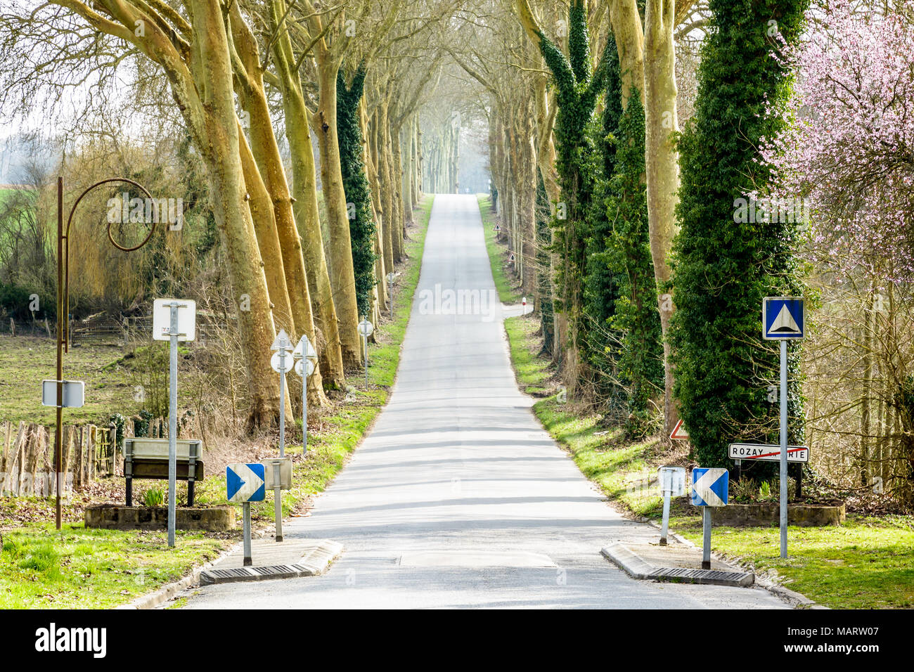 Il piccolo paese di pendenza strada lasciando il villaggio di Rozay-en-Brie al sud, delimitato da due filari di platani, nella campagna francese. Foto Stock