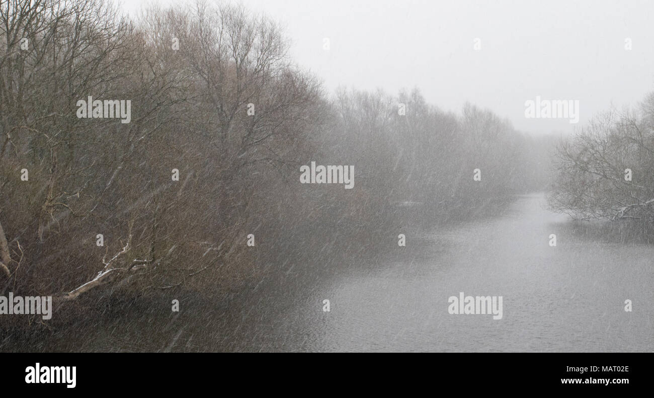 Scena invernale dato impressionista un effetto simile da una neve pesante doccia su un lago a Attenborough Riserva Naturale, Nottinghamshire Foto Stock