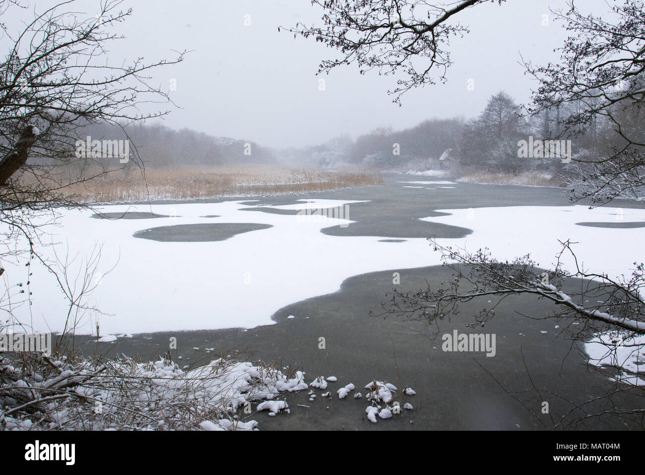 La vista su una coperta di neve lago ghiacciato durante una nevicata a Attenborough Riserva Naturale, Nottinghamshire Foto Stock