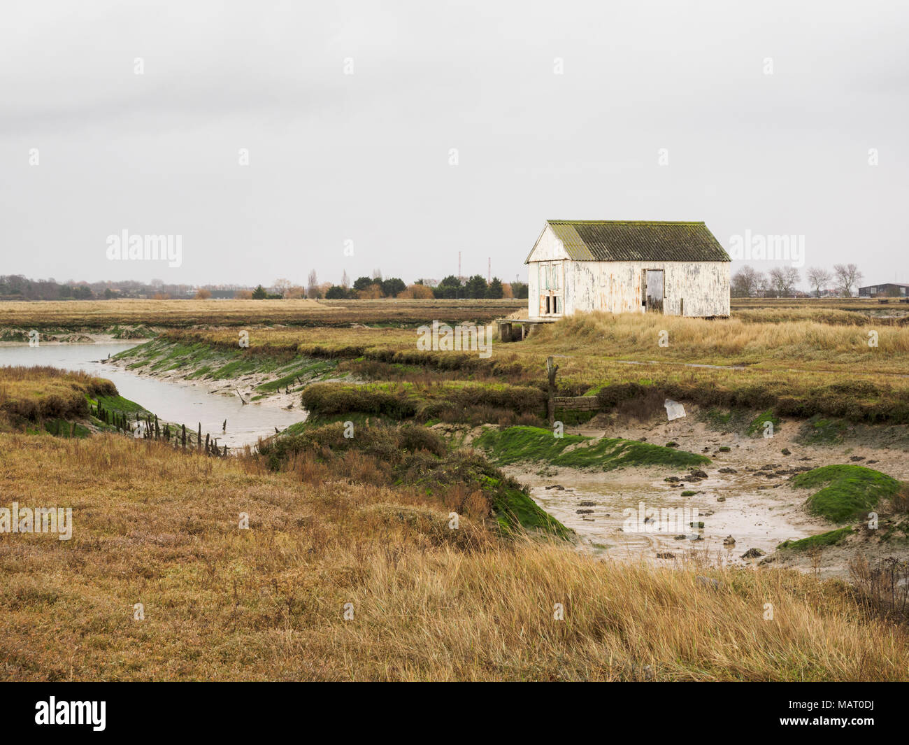 Casa in barca sul fiume Roach a Wallasea in Essex Foto Stock