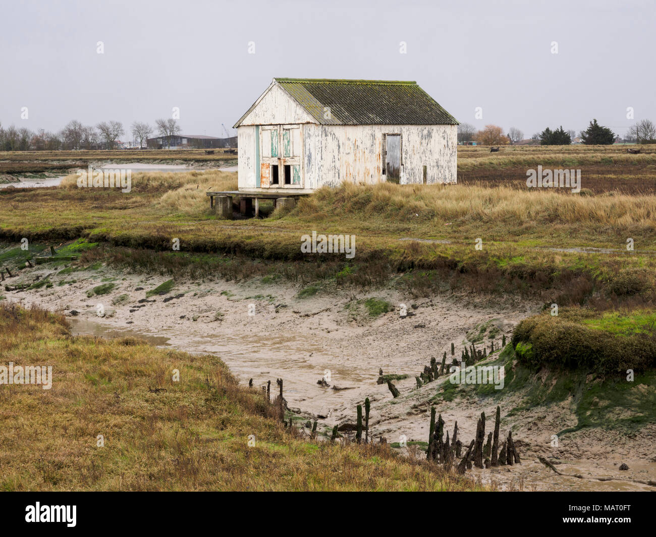 Casa in barca sul fiume Roach a Wallasea in Essex Foto Stock