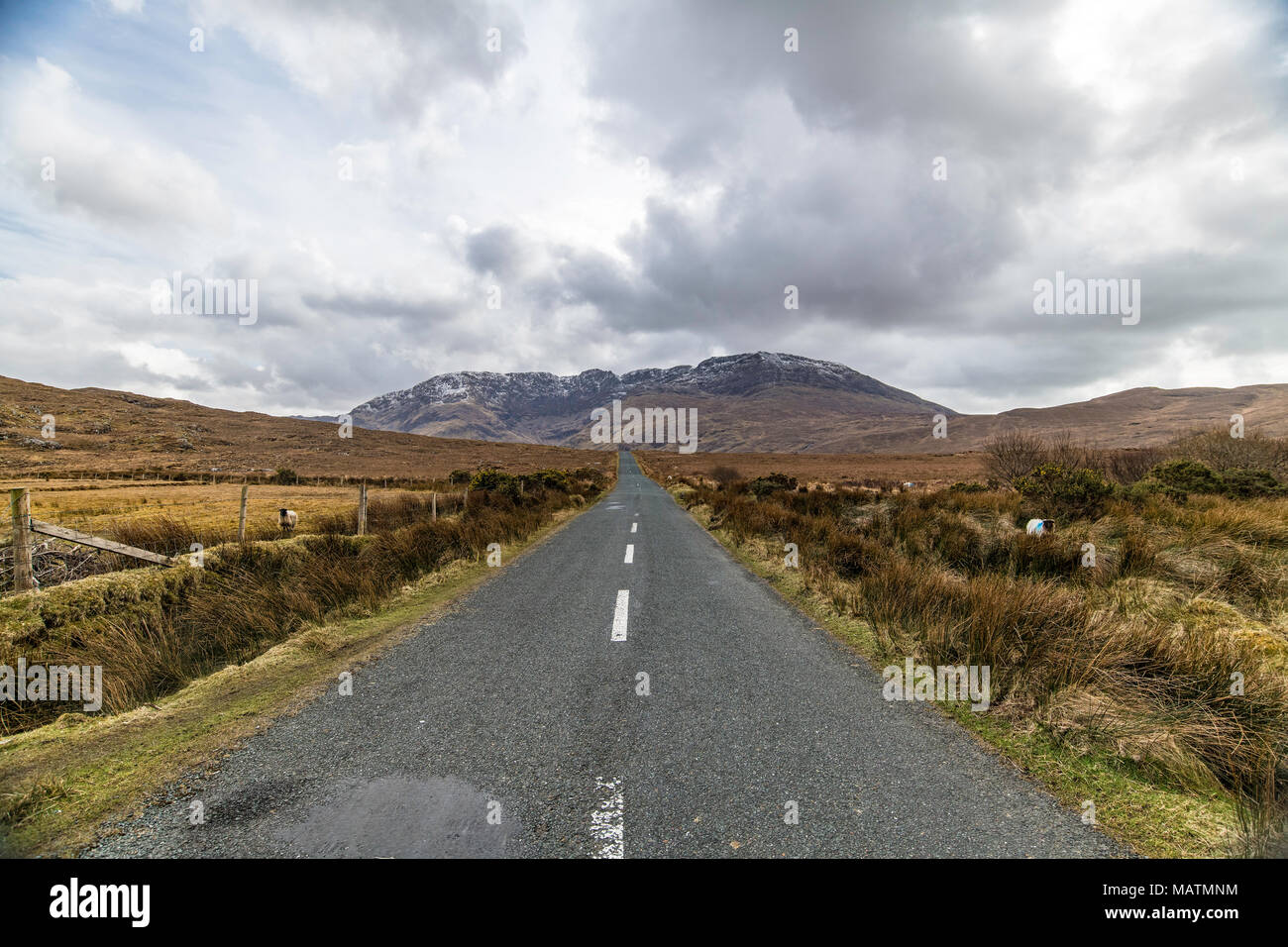 Paese stretta strada che conduce alla montagna Distante nella contea di Mayo in Irlanda Foto Stock
