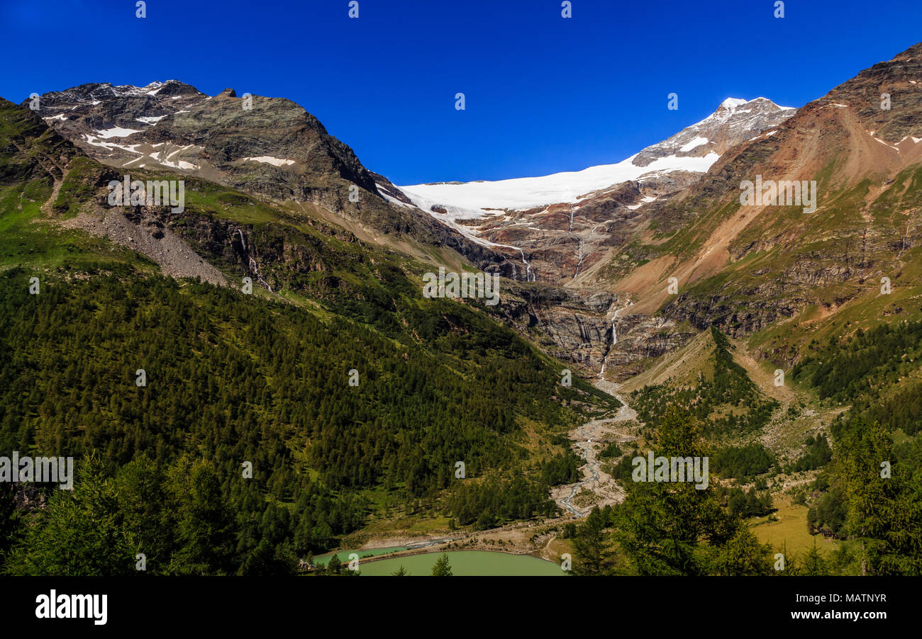 Vista sulle cime innevate del Bernina gamma sul confine della Svizzera e Italia dalla stazione ferroviaria Alp Grum, vicino a San Moritz, in estate. Gr Foto Stock