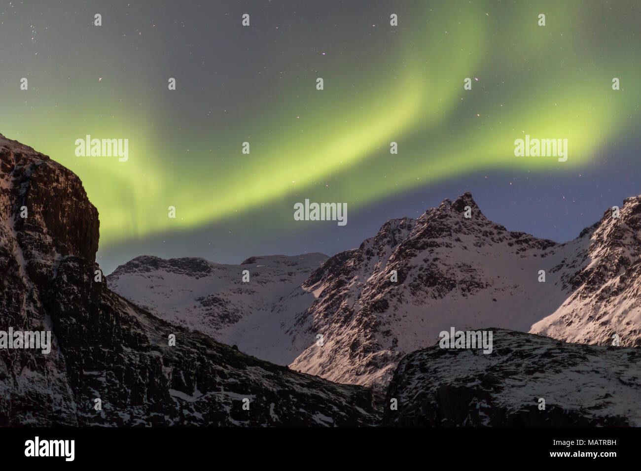 Aurora boreale, northen luci sopra montagne innevate nella stagione invernale sulle Lofoten, Norvegia Foto Stock