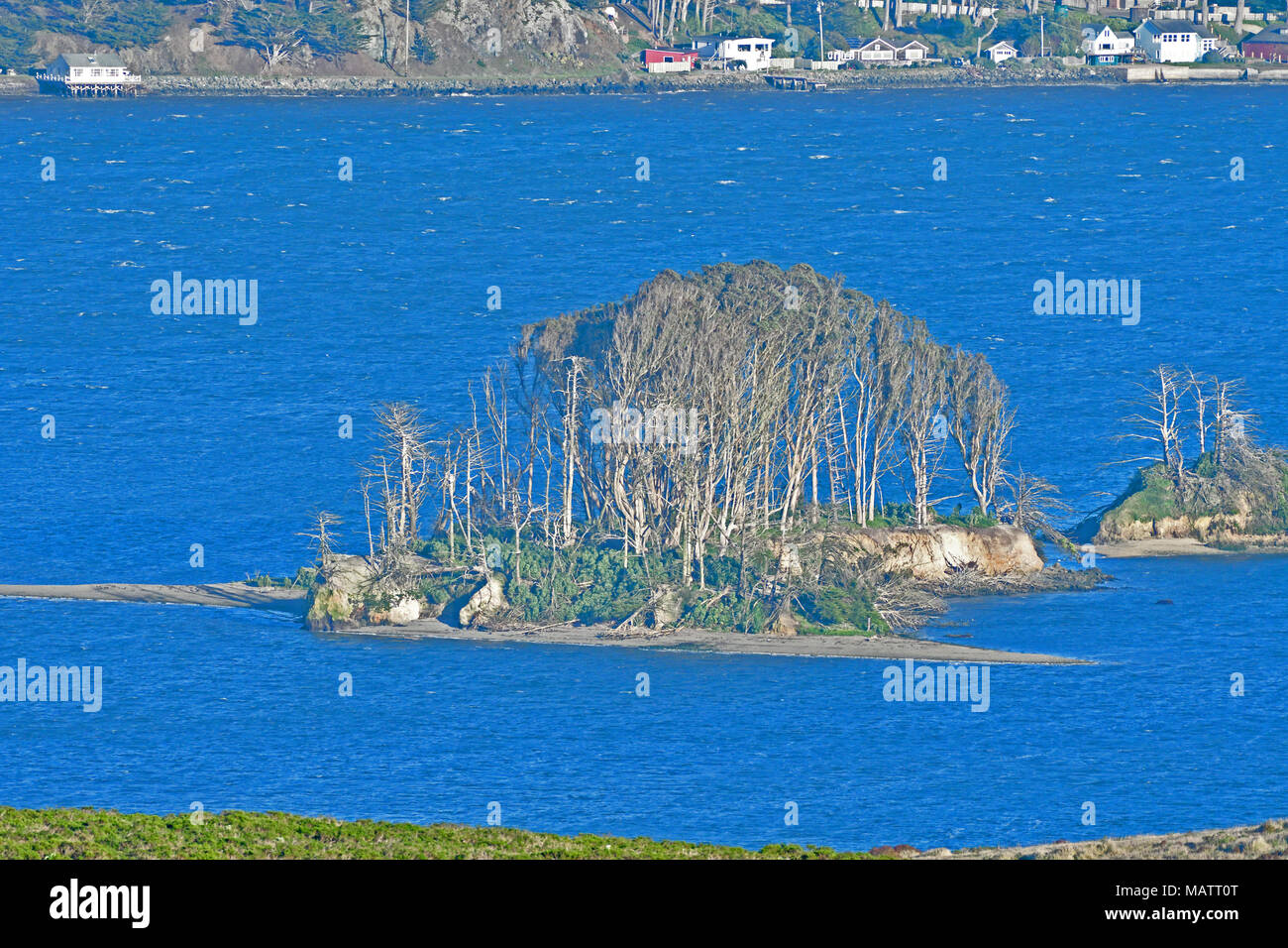 Un'isola vicino a Tule Elk riserva Foto Stock