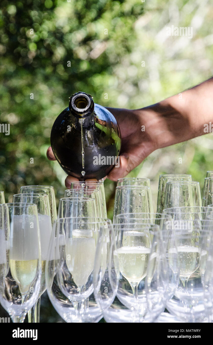 Man mano versa vino spumante in bicchieri a evento all'aperto. Celebrando con champagne al di fuori sulla giornata di sole. Foto Stock