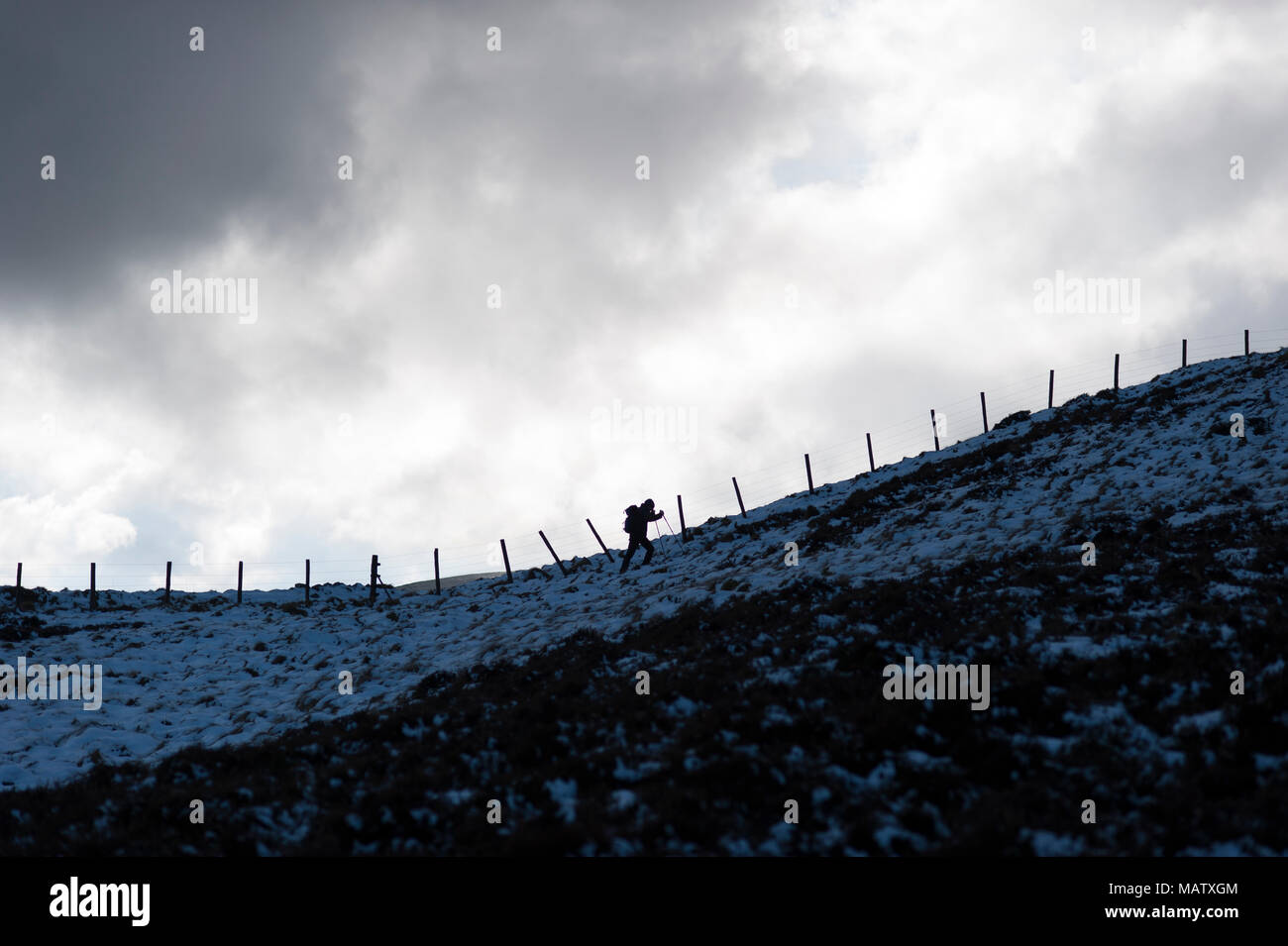 Un uomo a camminare nella neve con l aiuto di un bastone lungo un percorso in inverno sotto un cielo scuro Foto Stock