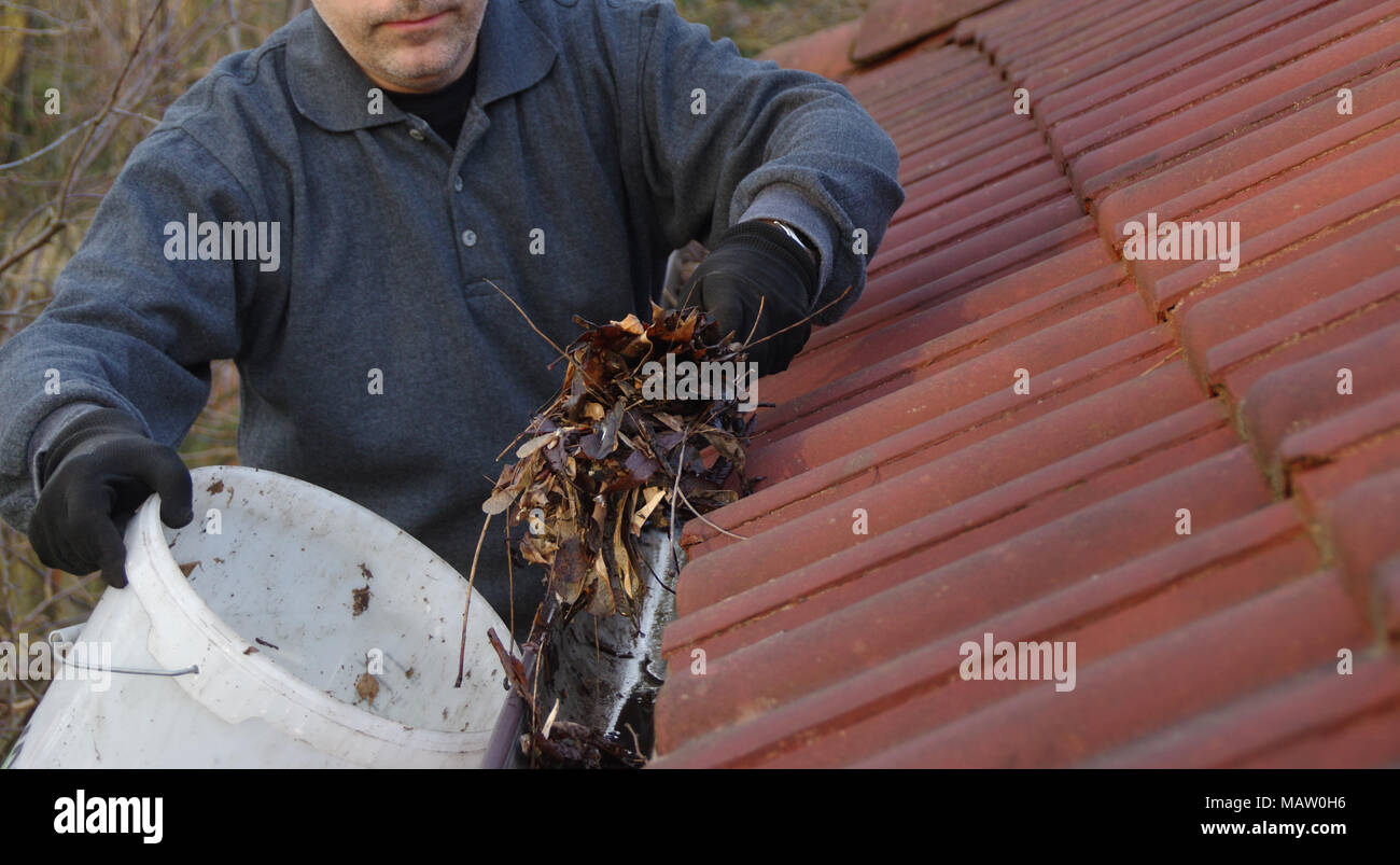 Uomo di pulizia grondaia sporca da muschi e foglie. Edificio con impuro tetto di tegole dopo l'inverno. Pulizia di Primavera. Foto Stock