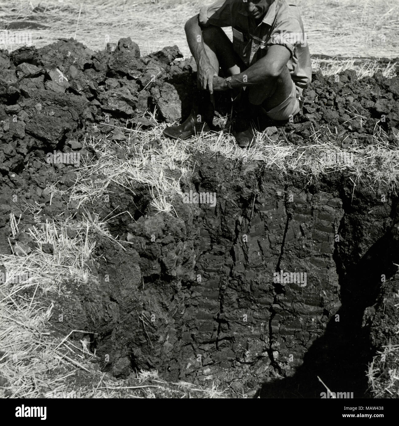 Scavare un buco, selezione rhodesiano fiducia, pilota di Kafue polder, Zambia, Rhodesia del Sud 1957 Foto Stock