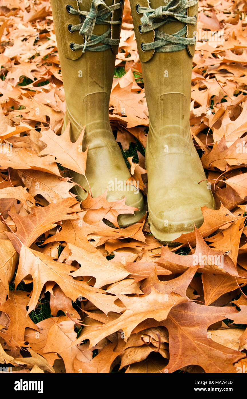 Stivali da pioggia sulla foglia foglia ricoperto di erba. Foto Stock