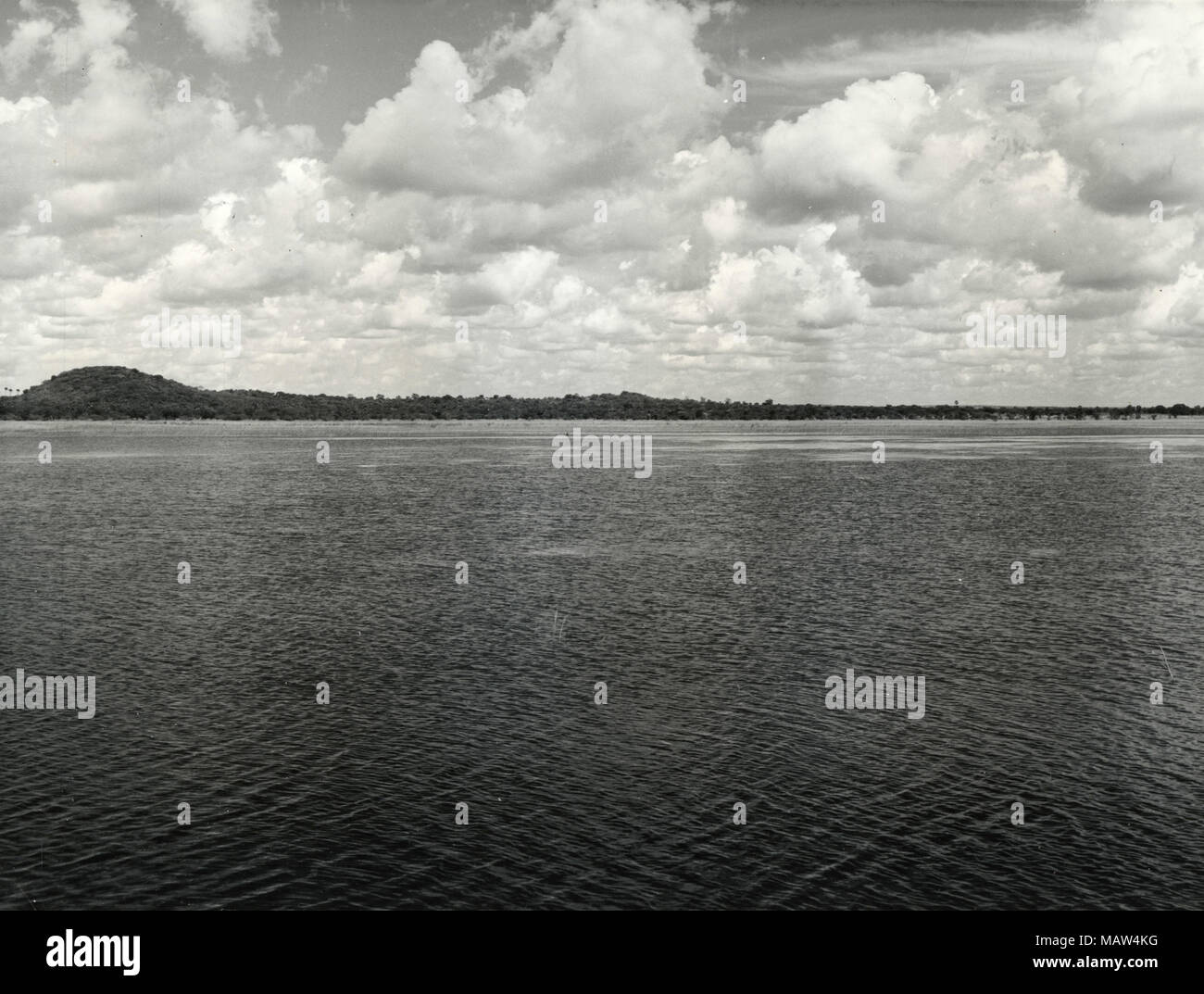 A riposo flood field, selezione rhodesiano fiducia, pilota di Kafue polder, Zambia, Rhodesia del Sud 1957 Foto Stock A riposo flood field, selezione rhodesiano fiducia, pilota di Kafue polder, Zambia, Rhodesia del Sud 1957 Foto Stock