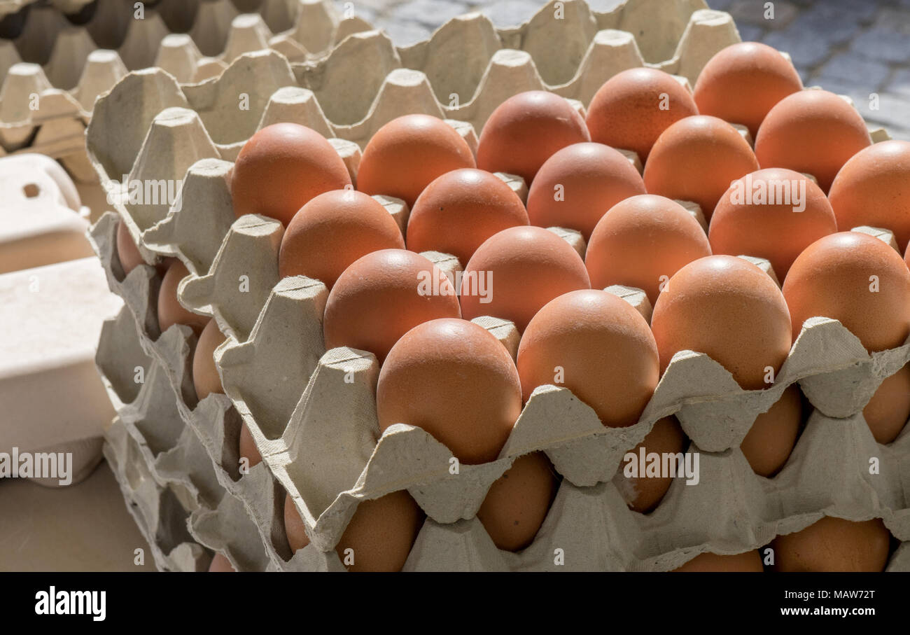 Con la pila di cartoni e freschi, uova marrone Foto Stock
