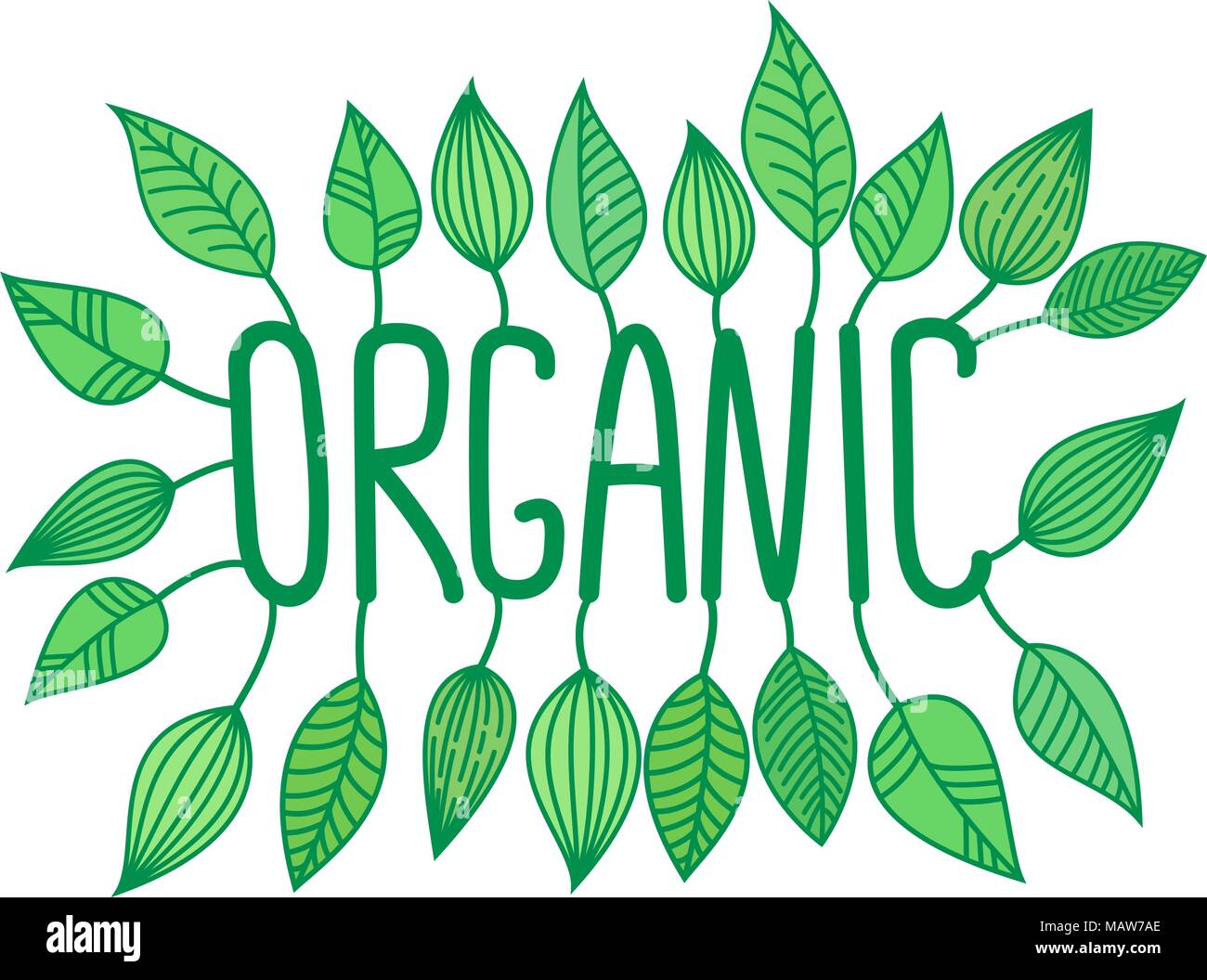 Organico verde accedi con foglie di crescente, vettore Etichetta e targhetta, cibo fresco concetto sticker Illustrazione Vettoriale