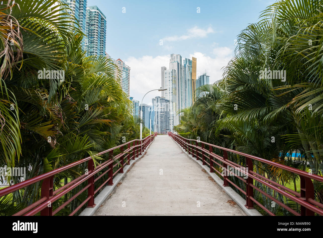 Strada diritta - cavalcavia pedonali / passerella con vista sullo skyline di sfondo e palme , Panama City - Foto Stock