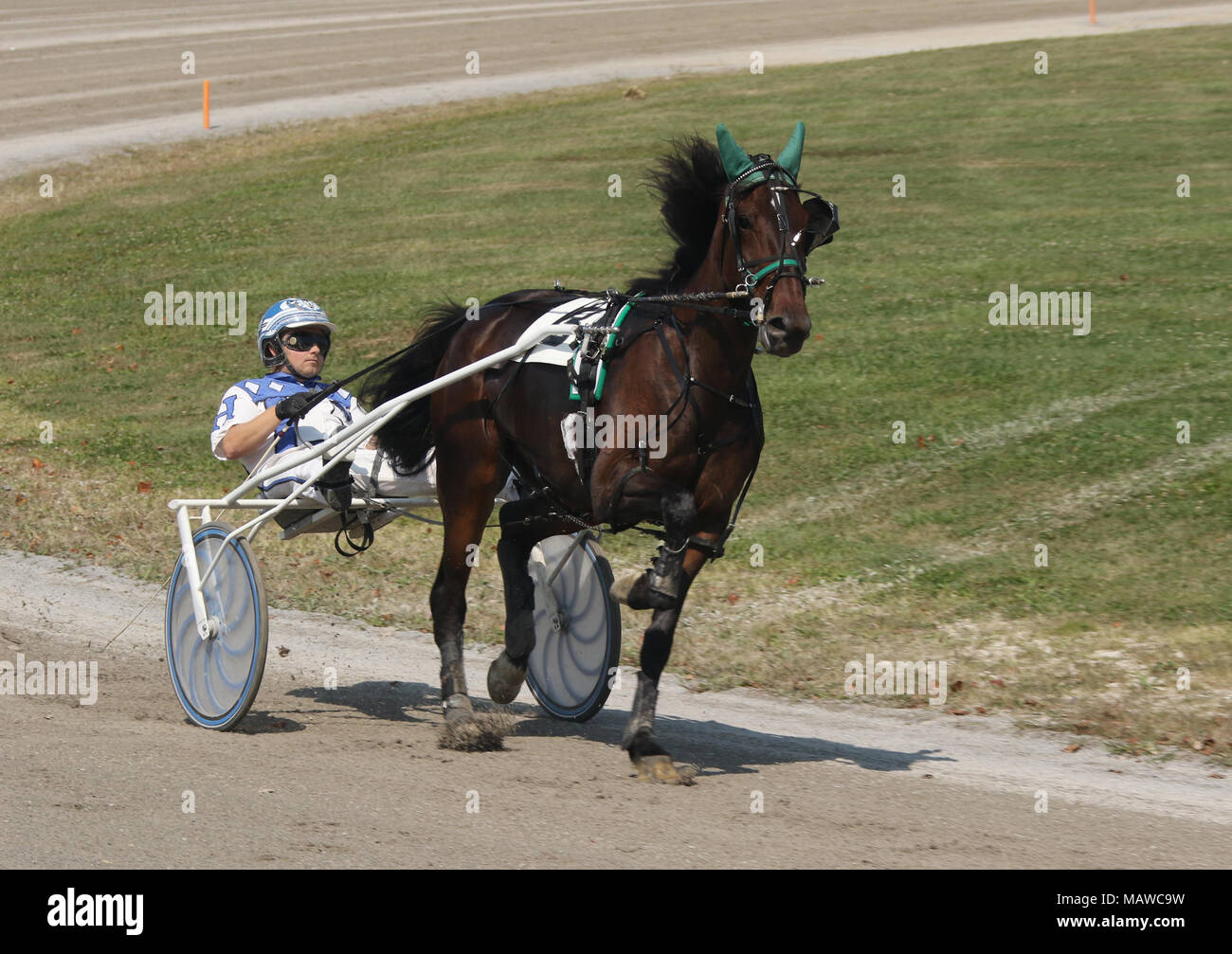 Il pilota di sesso maschile. Cablaggio Horse Racing. Canfield fiera. Mahoning County Fair. Canfield, Youngstown, Ohio, Stati Uniti d'America. Foto Stock