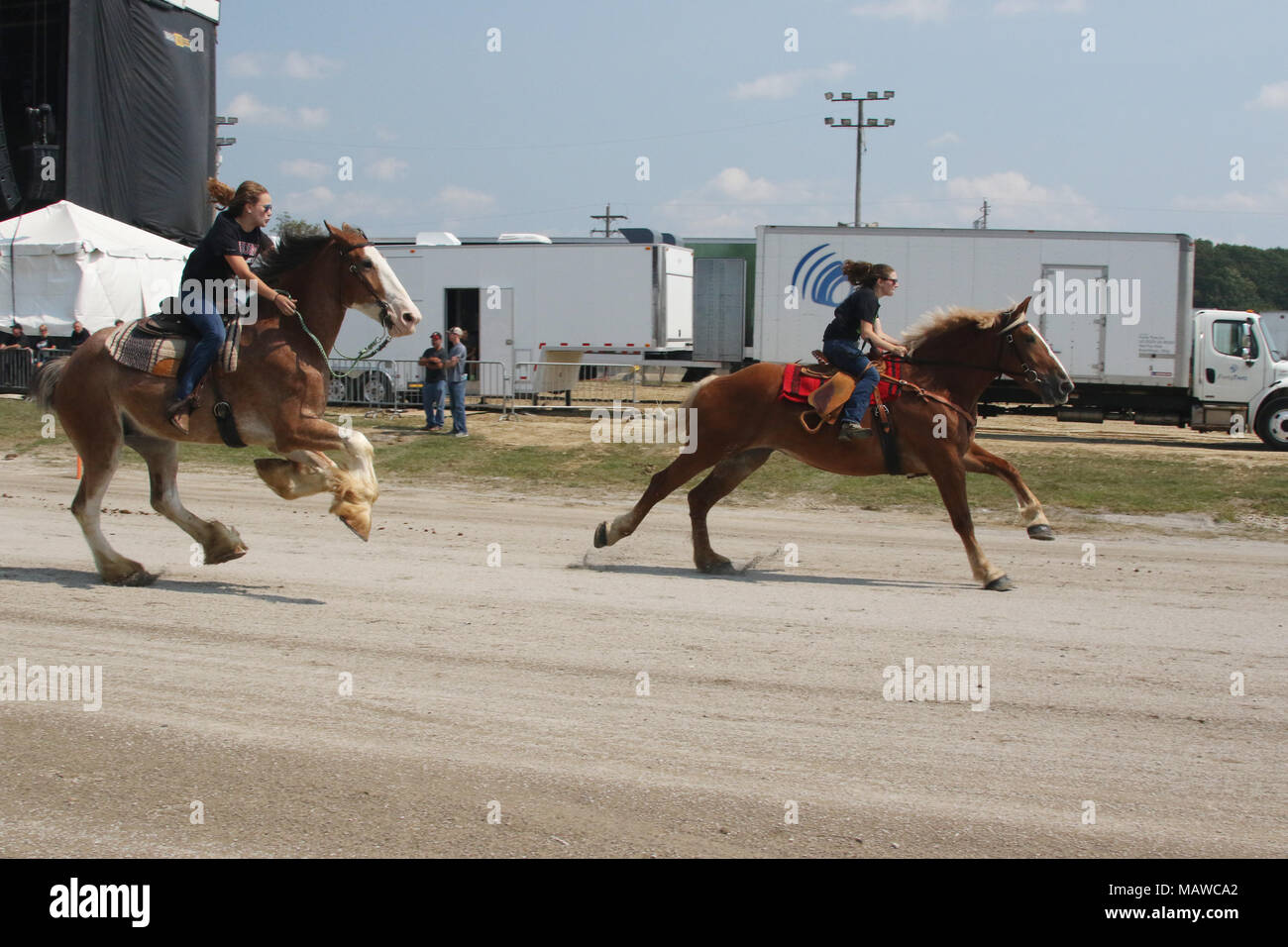 Donna piloti. Canfield Fair Progetto Corsa di cavalli. Canfield fiera. Mahoning County Fair. Canfield, Youngstown, Ohio, Stati Uniti d'America. Foto Stock