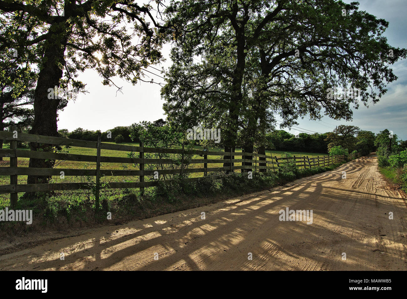 Argilla sabbiosa strada sterrata nelle zone rurali del Texas centrale in un pomeriggio soleggiato Foto Stock