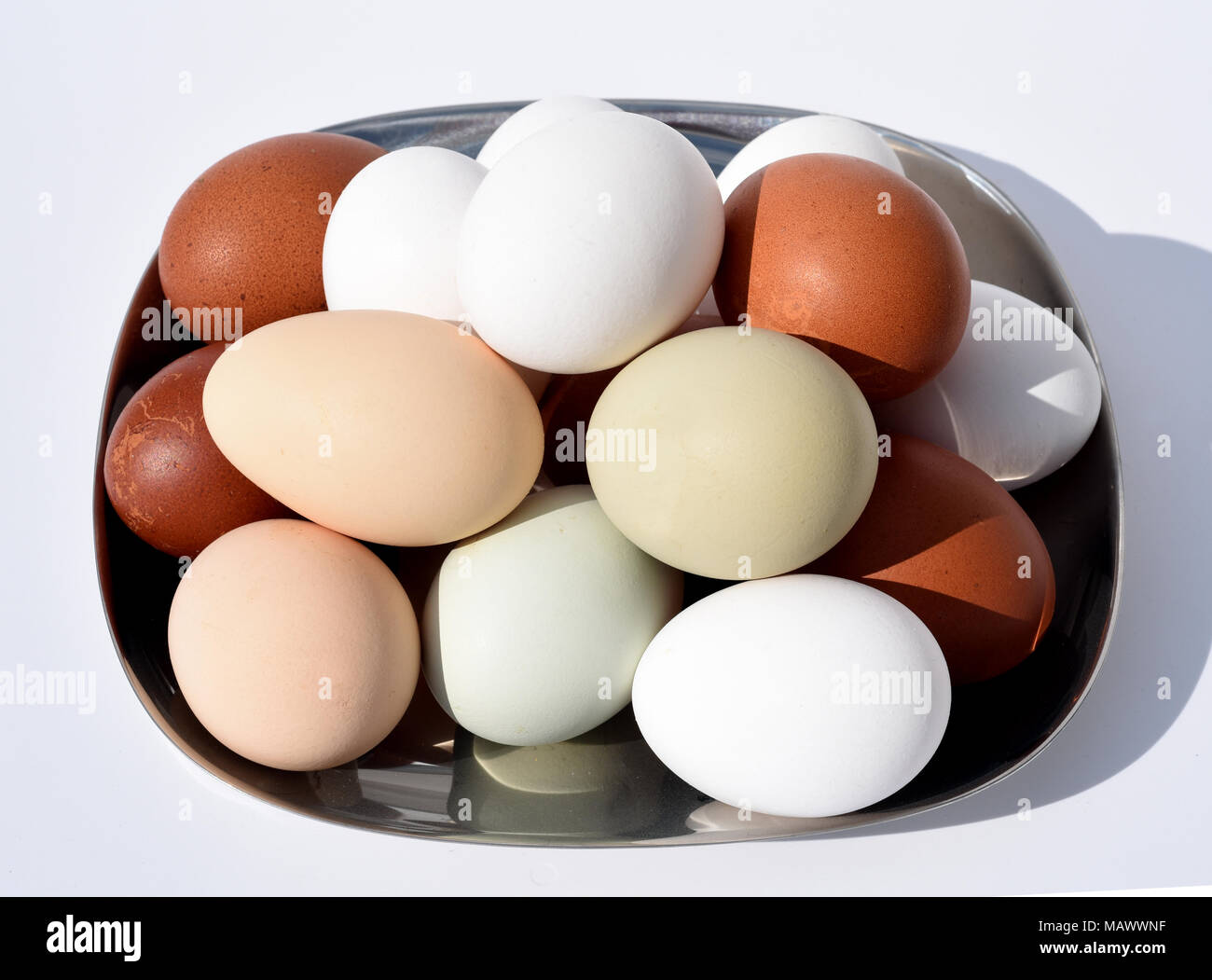 Huehnereier, Eier, ungefaerbt, bunte Foto Stock