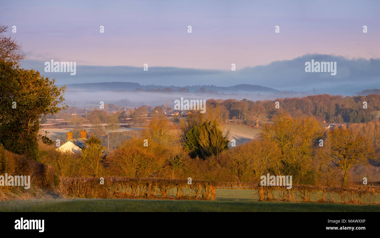 East Devon Area di straordinaria bellezza naturale vicino Gittisham alla prima luce. Foto Stock