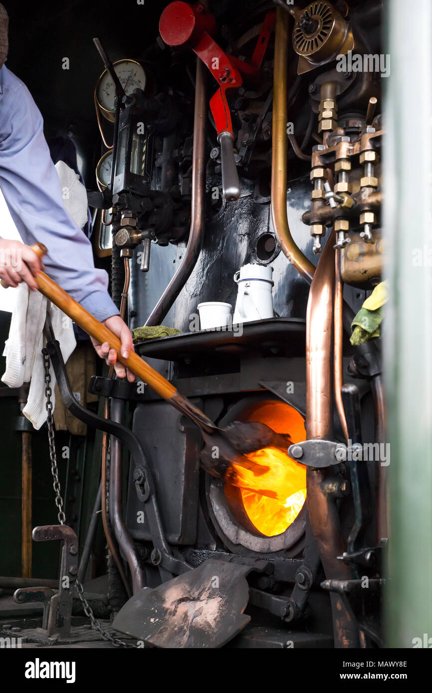 Il calore è su! Interno della cabina di un SVR locomotiva a vapore, il vigile del fuoco è in azione spalare più carbone al focolare per garantire una costante alimentazione di carburante. Foto Stock