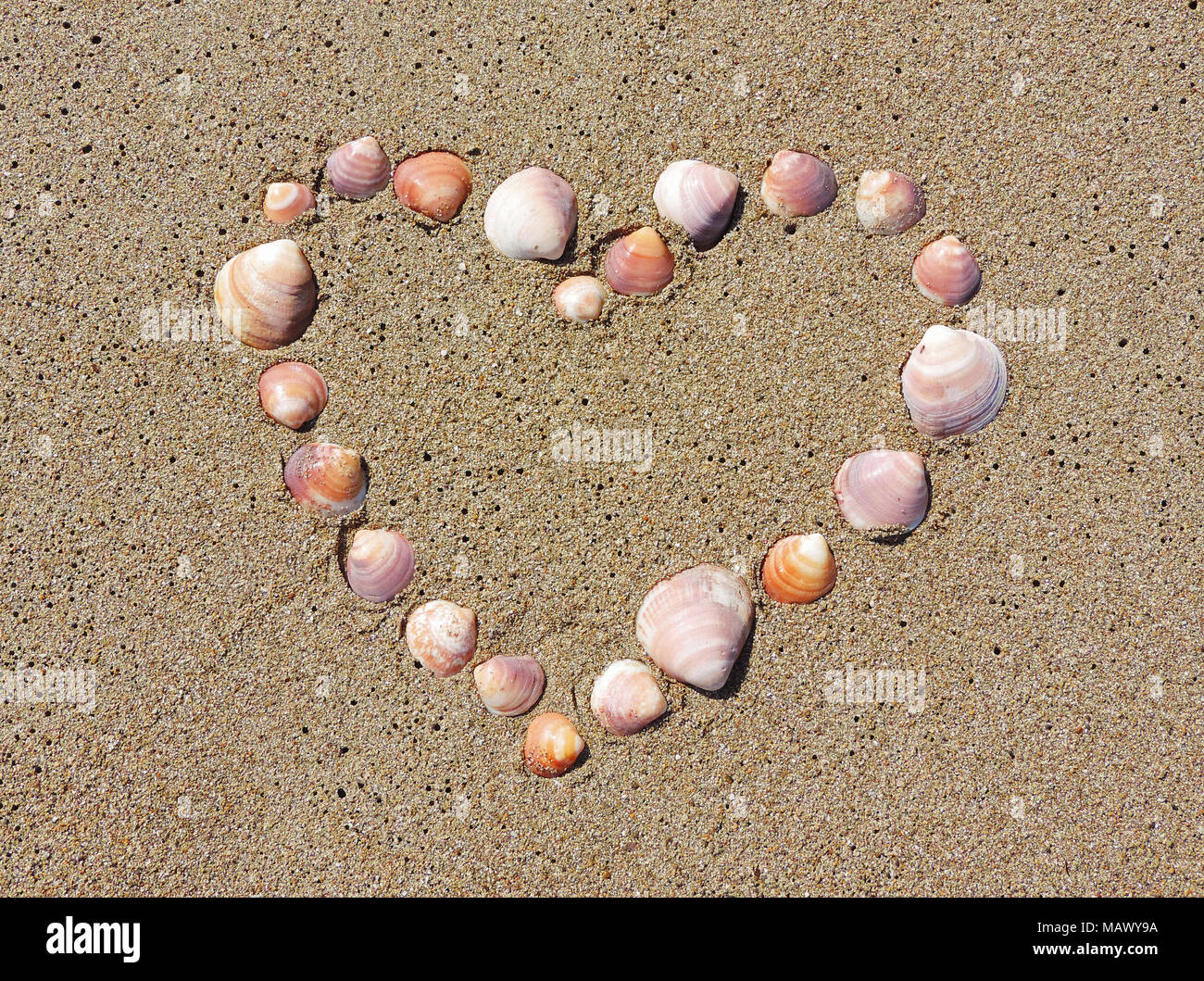 Cuore di mare conchiglie sulla spiaggia. Estate amore o romanticismo tema con sabbia e conchiglie. Foto Stock