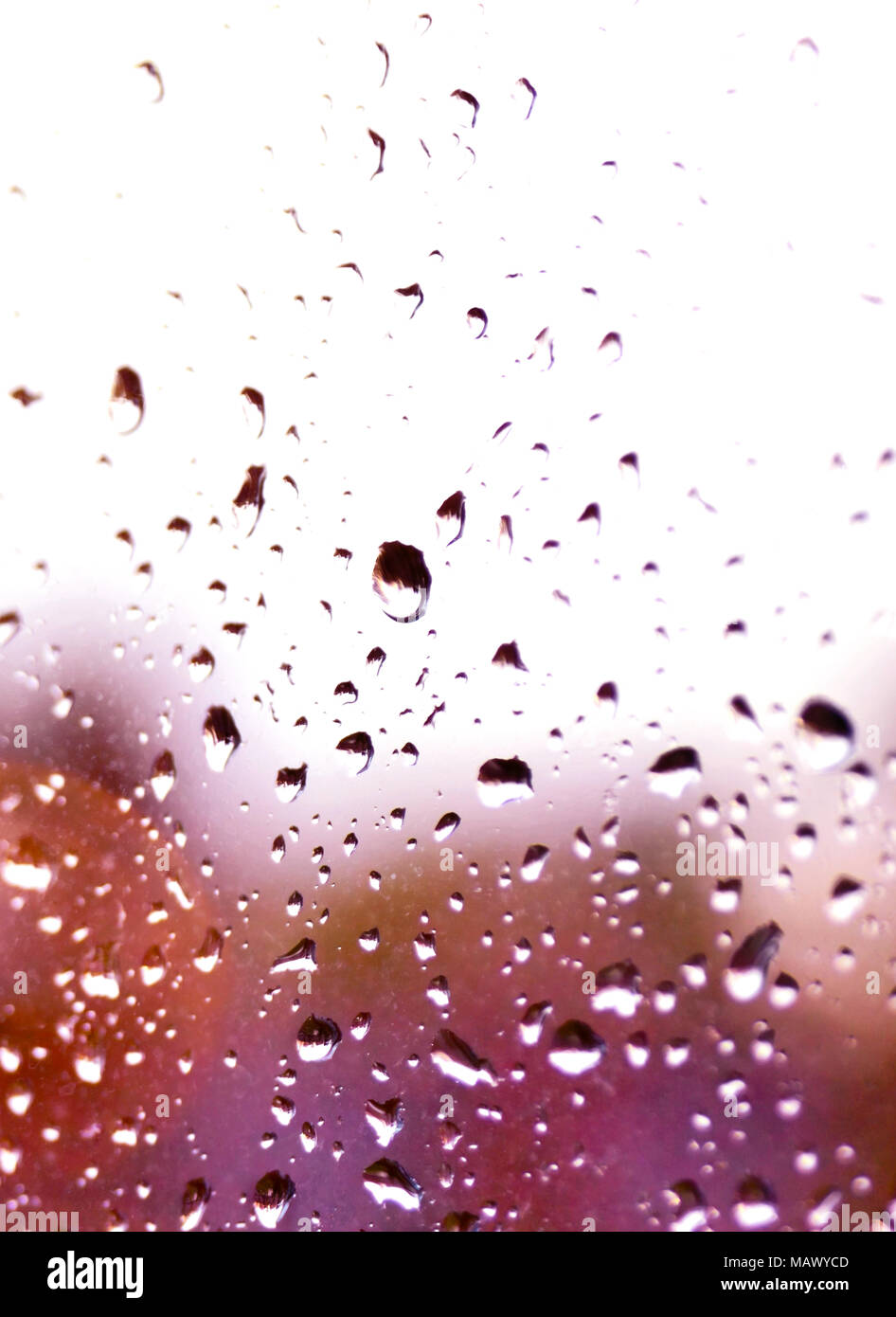 Le gocce di pioggia in un vetro di un finestrino. Messa a fuoco selettiva o closeup colpo di gocce di pioggia su una finestra. Foto Stock