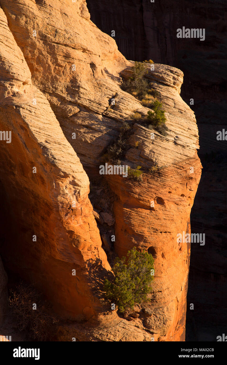 In arenaria Antelope House si affacciano, Canyon De Chelly National Monument, Arizona Foto Stock