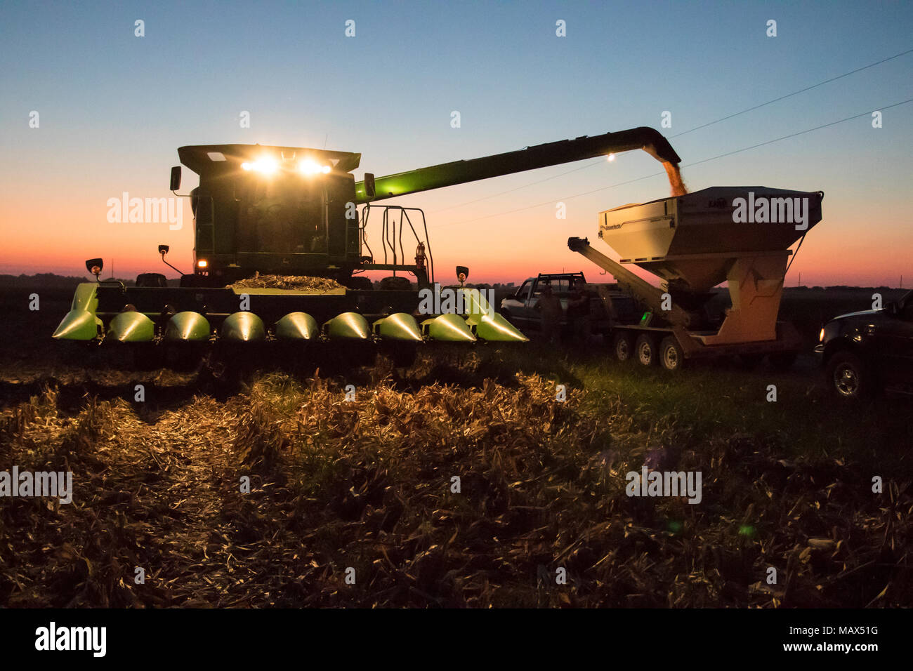 Agriturismo, il raccolto di mais, tramonto, Marion County, Illinois, Stati Uniti d'America, agricoltura, prodotto mietitrebbia, grano, harvester, sera Foto Stock