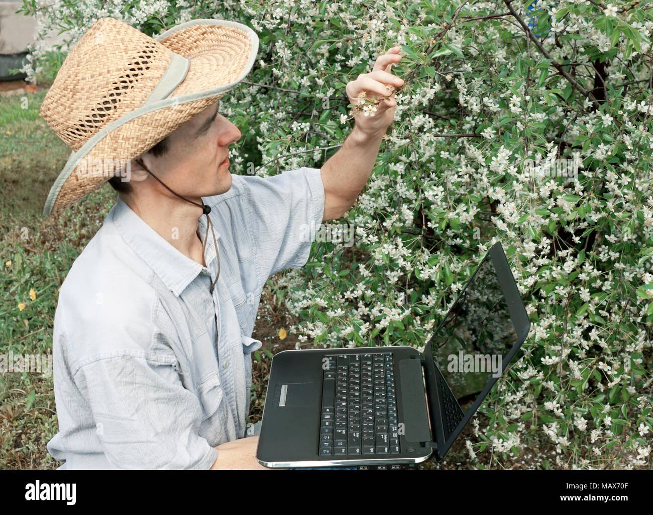 Il giovane giardiniere in un giardino di ciliegio in primavera Foto Stock