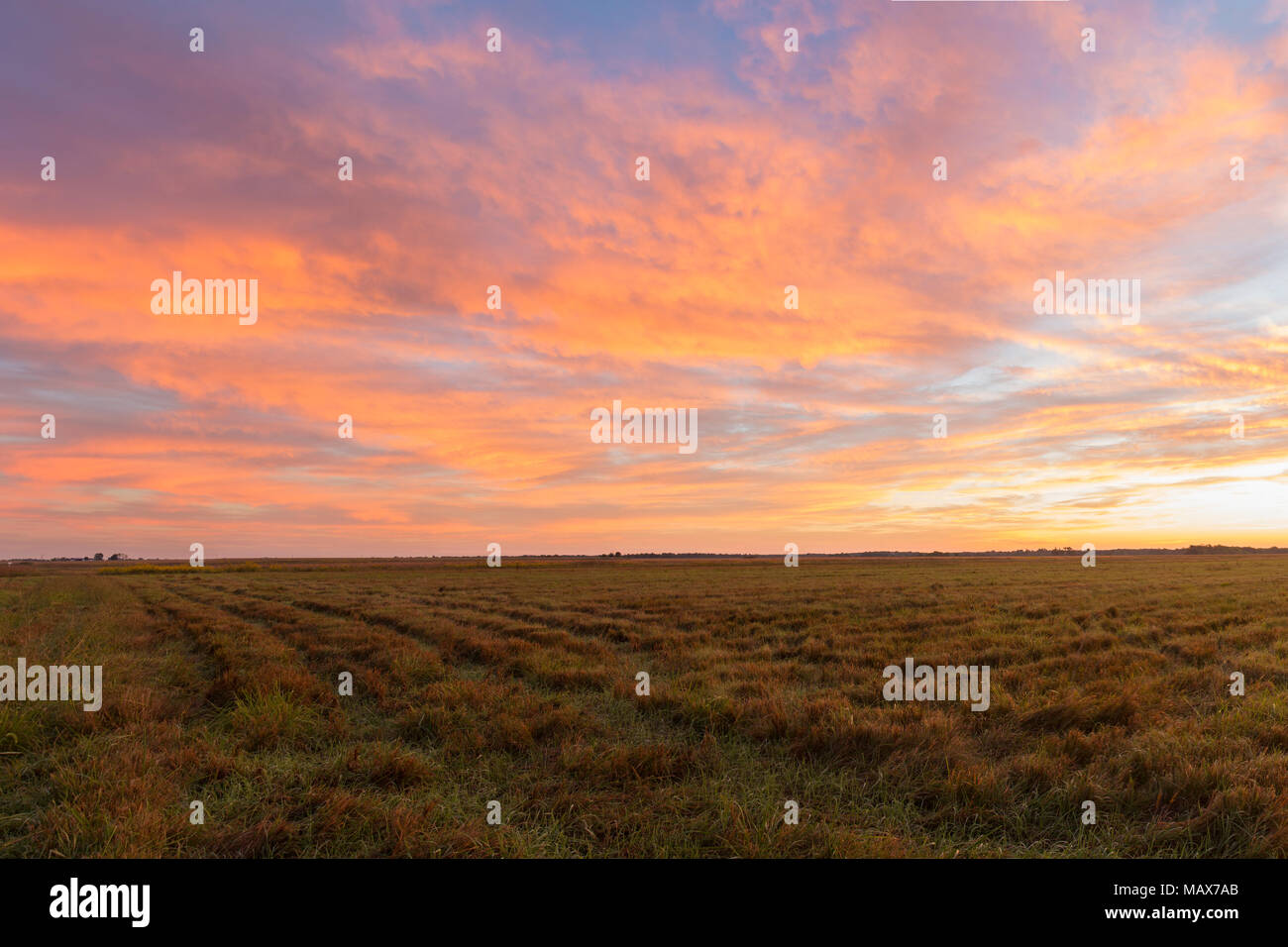 63893-02914 Sunrise a Prairie Ridge Stato Area Naturale, Marion County, IL Foto Stock