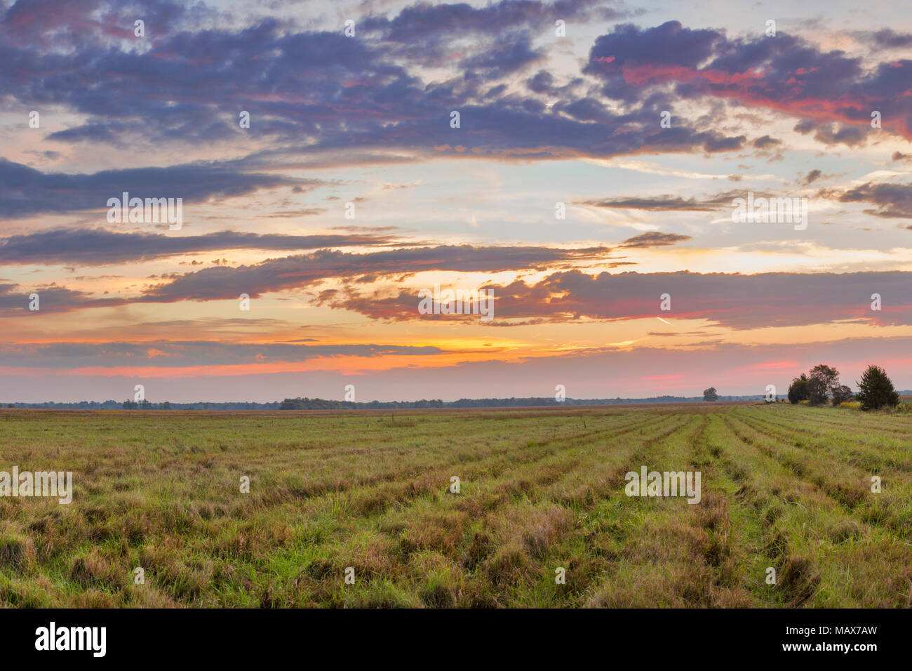 63893-02917 Sunrise a Prairie Ridge Stato Area Naturale, Marion County, IL Foto Stock