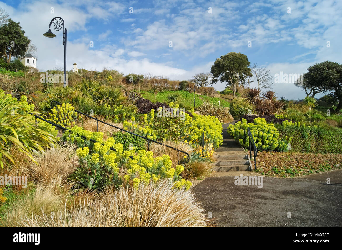 UK,Dorset,Lyme Regis,Langmoor Giardini durante la molla Foto Stock