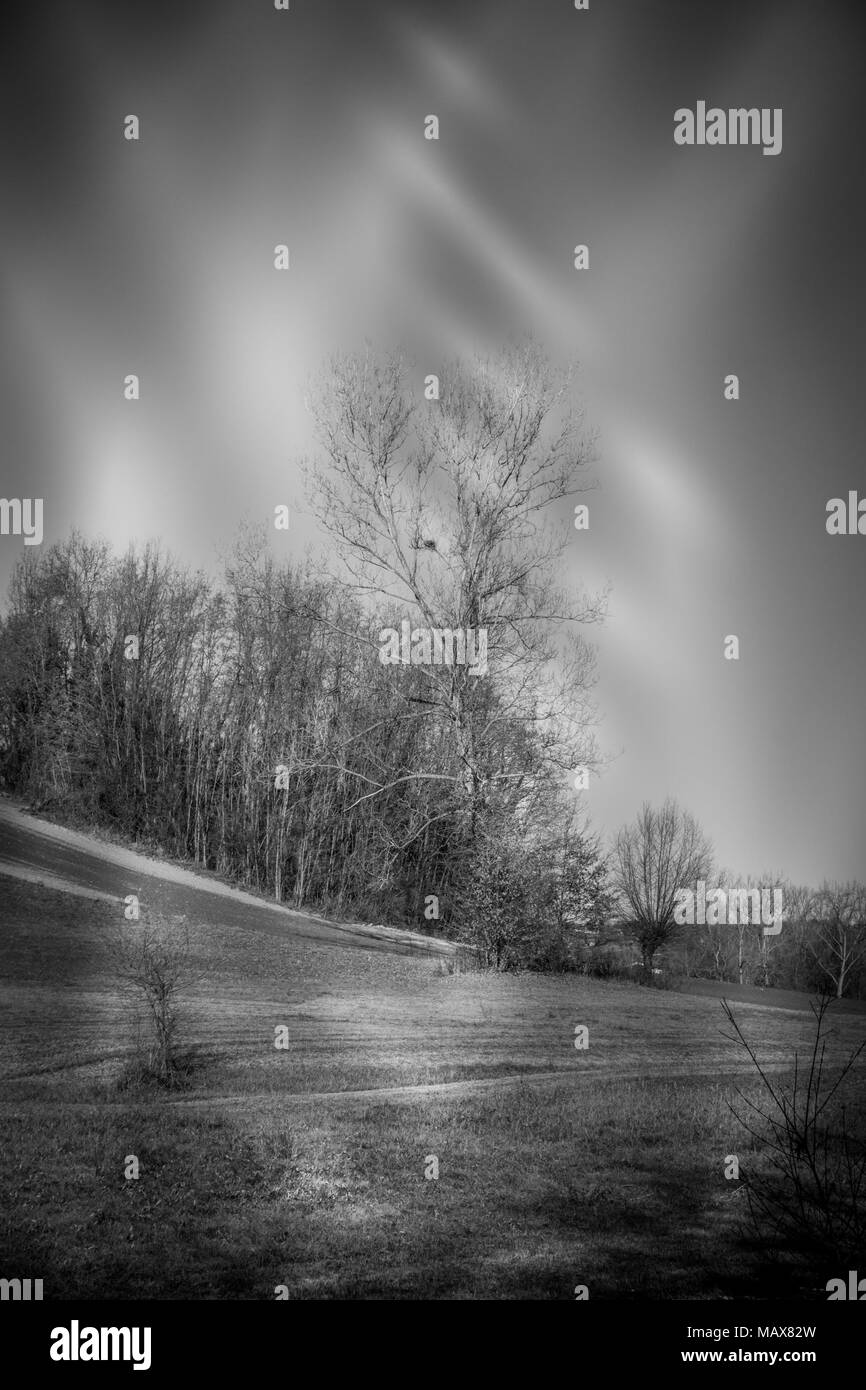 Gli alberi in primo piano, Paesaggio naturale Foto Stock
