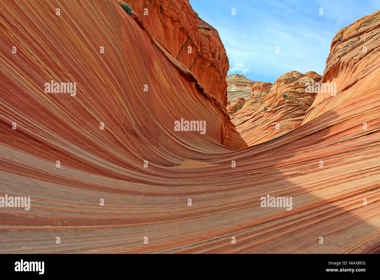 Immettere all'Onda, Coyote Butte Nord, Arizona Foto Stock