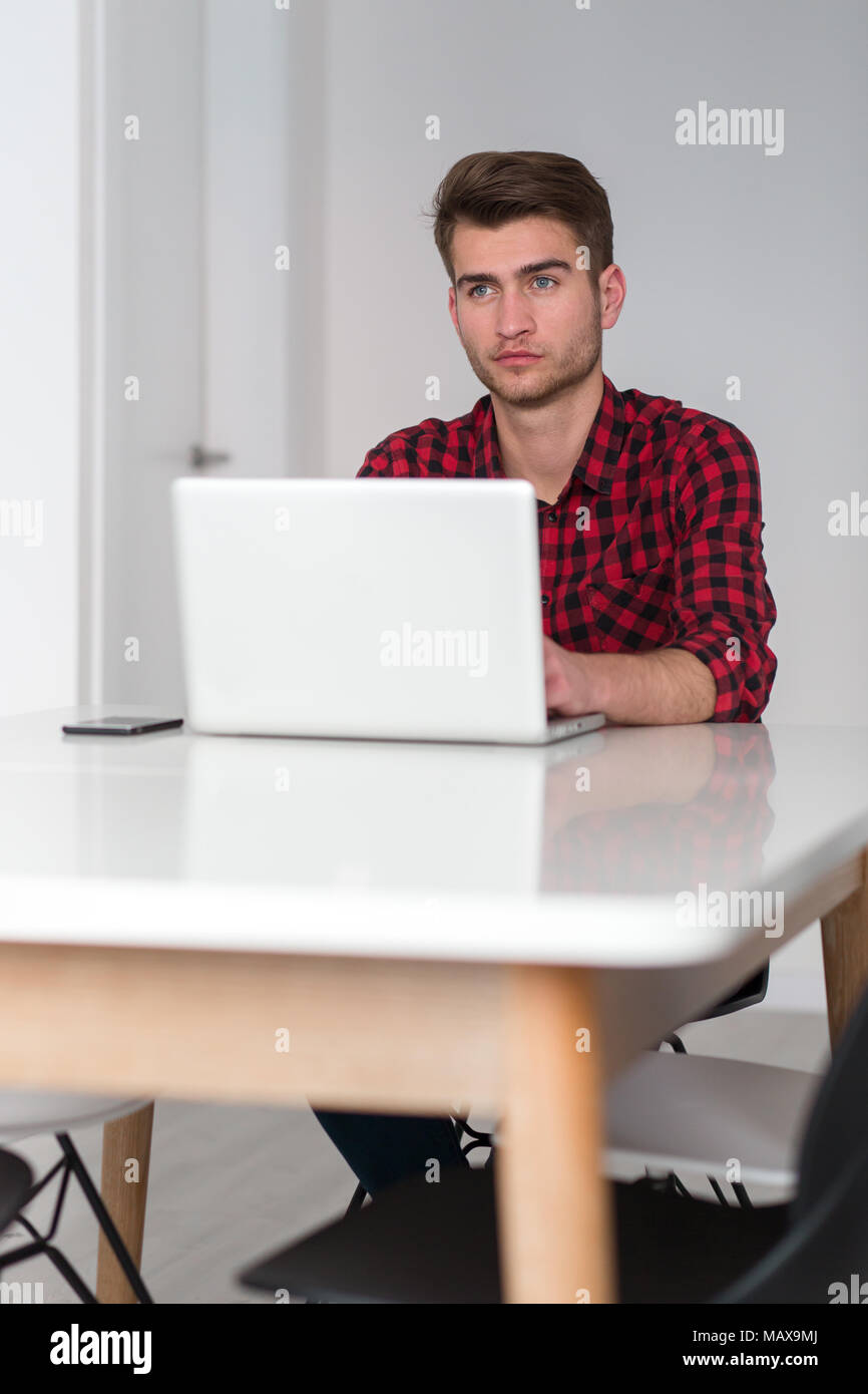 I giovani proprietari che lavorano a casa in plaid shirt Foto Stock