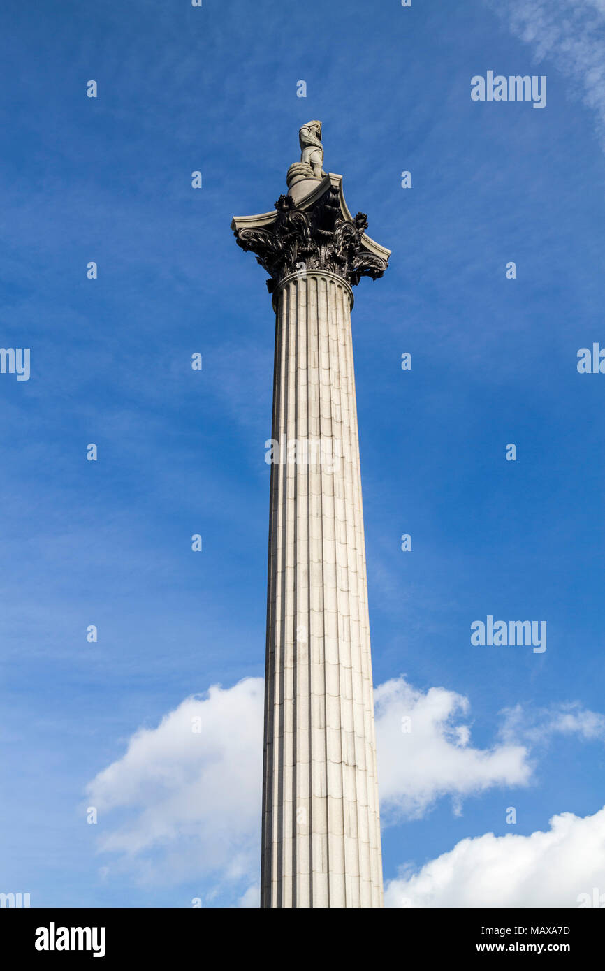 Lord Nelson's Colonna, statua, Trafalgar Square, Londra, Inghilterra Foto Stock