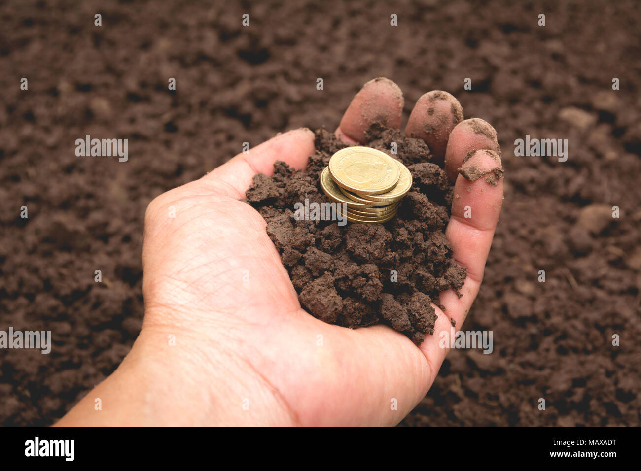 Mano che tiene il denaro monete d oro in mano per finanziaria e risparmio di denaro concetto. Foto Stock