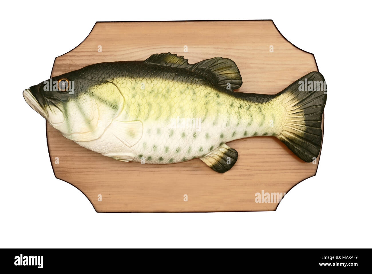 Un pesce di gomma su una piastra. Foto Stock