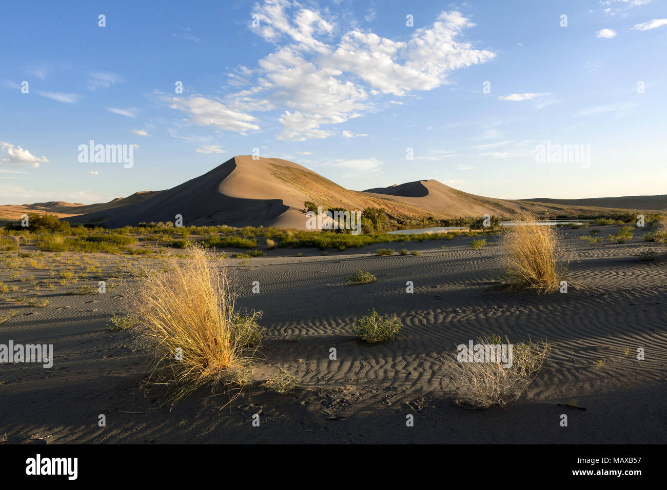 ID00676-00...IDAHO - dune di Bruneau Dunes State Park. Foto Stock