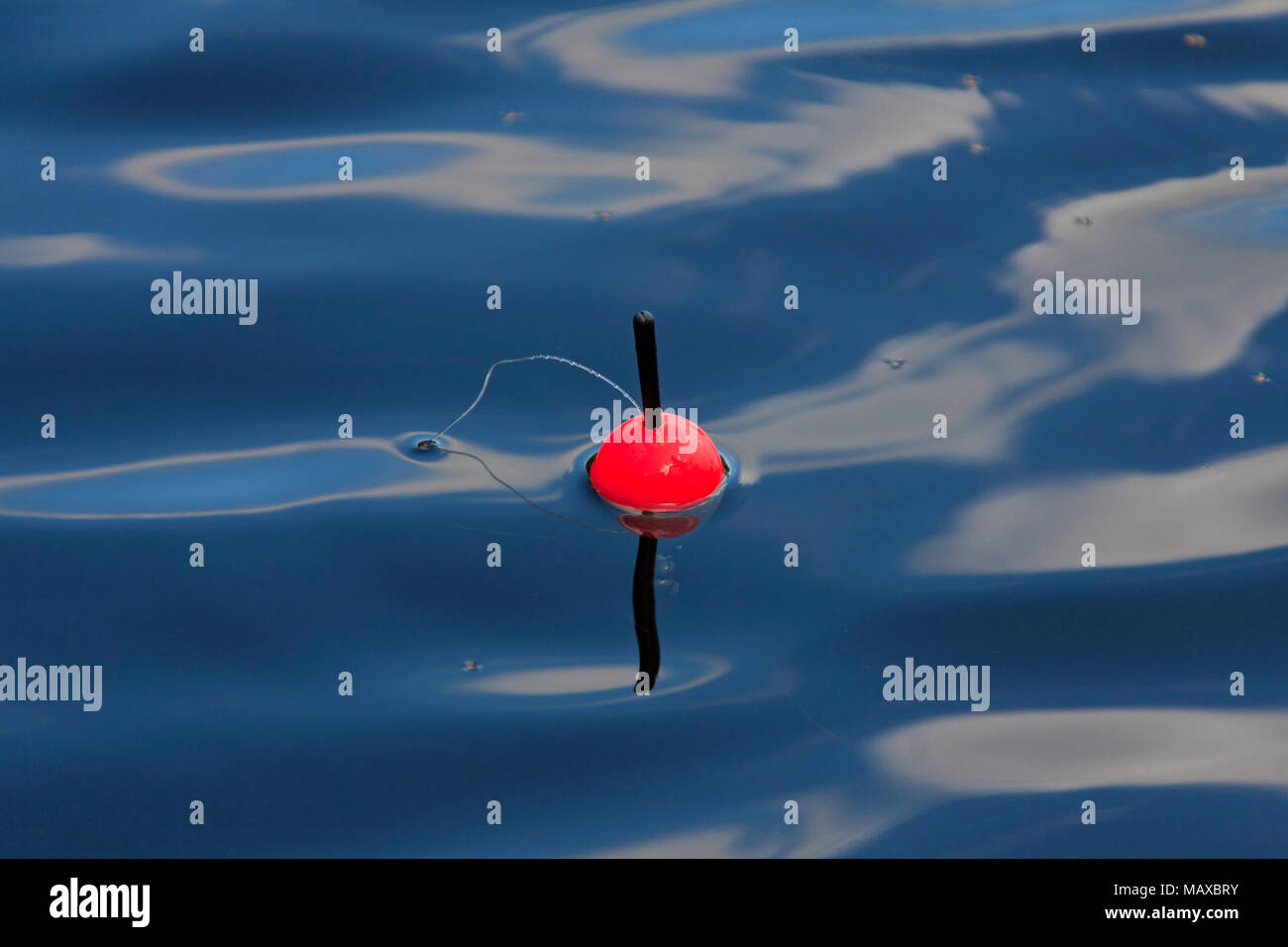 Il pescatore del galleggiante rosso / pesca galleggiante / float / bobber  galleggianti in acqua di lago / stagno Foto stock - Alamy