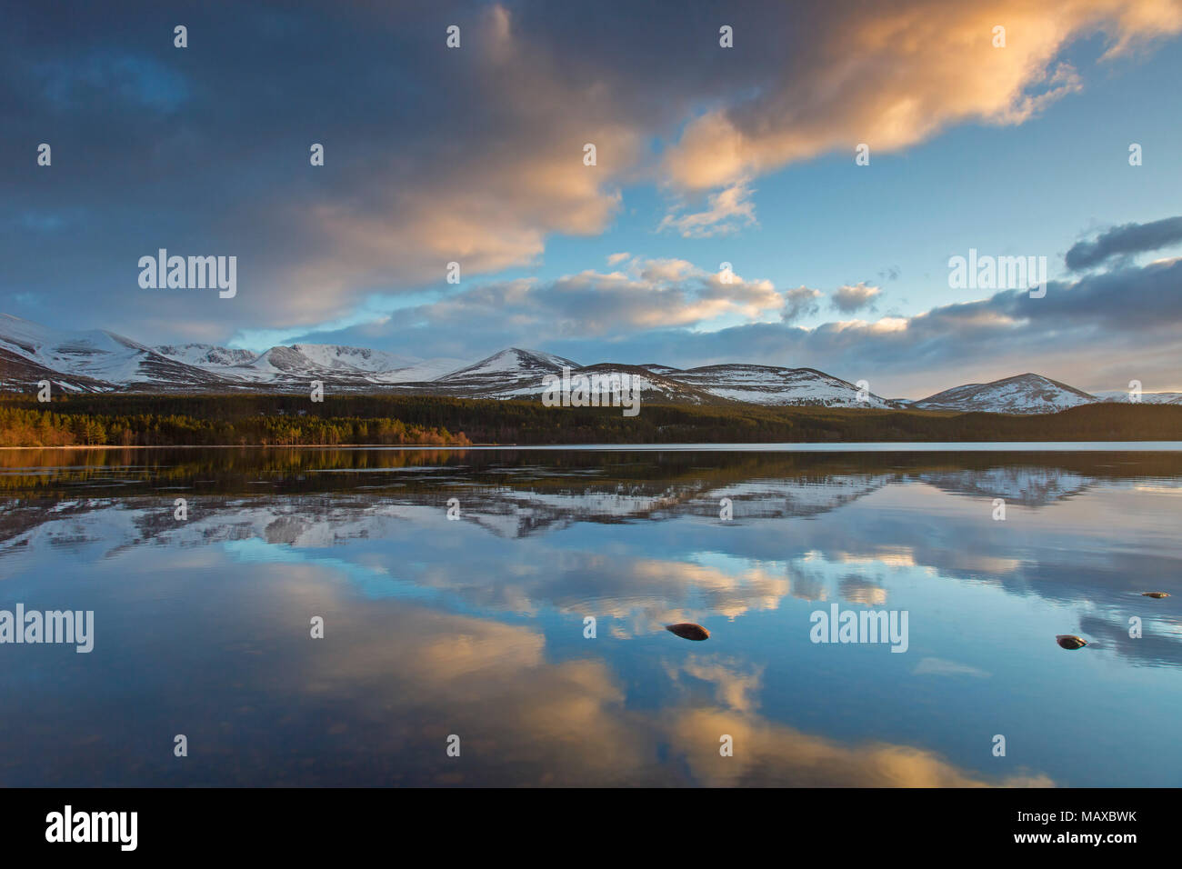 Loch Morlich al tramonto in inverno, Cairngorms National Park, Badenoch e Strathspey, Highland, Scotland, Regno Unito Foto Stock