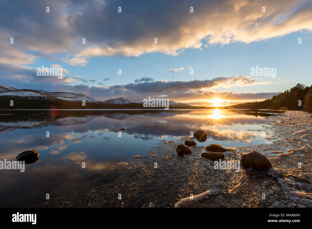 Loch Morlich al tramonto in inverno, Cairngorms National Park, Badenoch e Strathspey, Highland, Scotland, Regno Unito Foto Stock